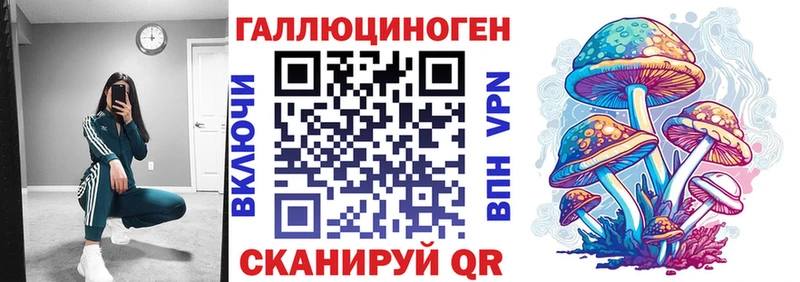 купить   MEGA онион  Псилоцибиновые грибы Cubensis  Черкесск 